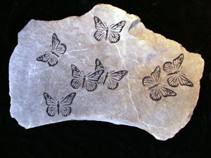 Butterfly Design