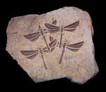 Hand-crafted Vermont stone art